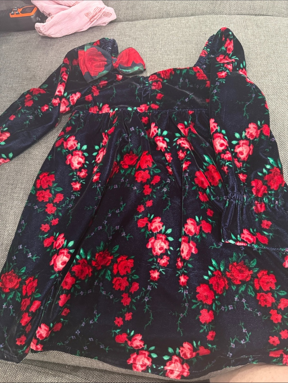 Janie and Jack Navy Velvet Dress with Red Rose Floral Print NWT